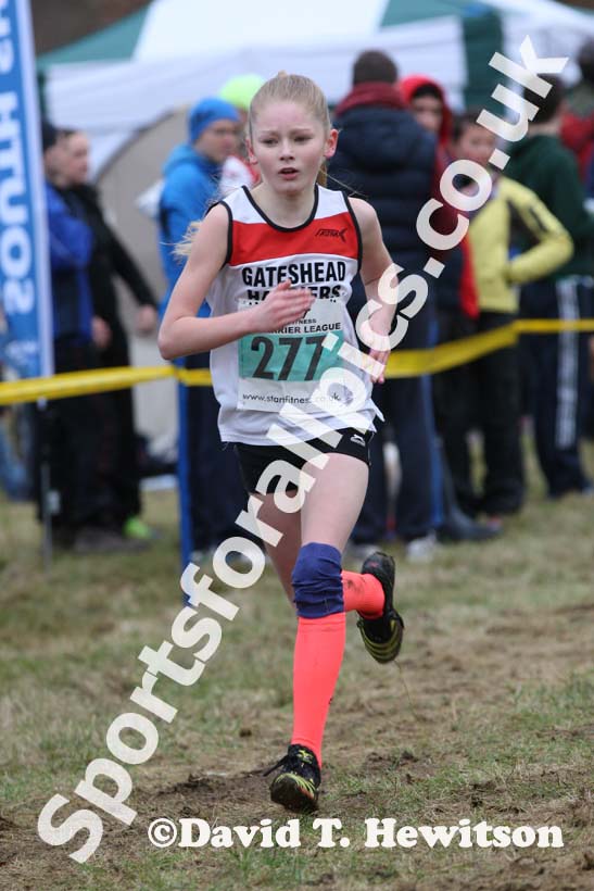 Under-13 girls green 277 NEHL, Wallington Hall. Photo: David T. Hewitson/Sports for All Pics